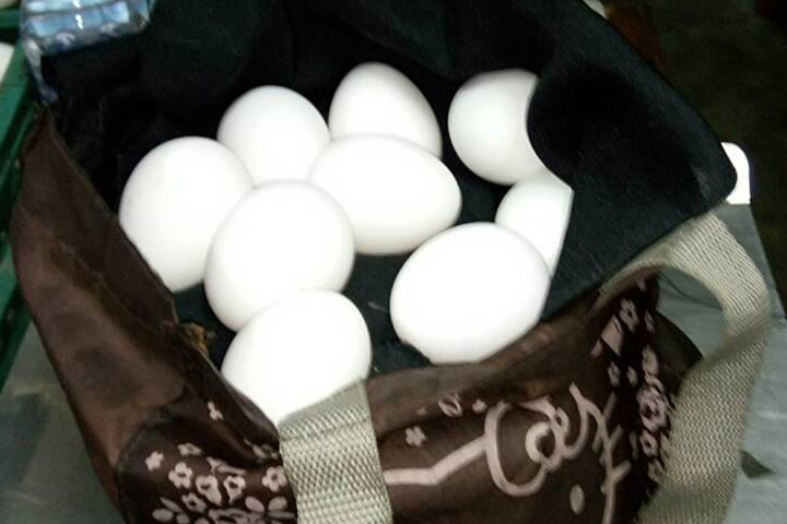 回歸最原始的方法，賣蛋也可以淨塑。