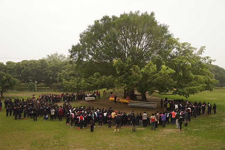 植樹節當天，福智國小的師生們一起為校區地標「母子樹」慶祝百歲生日。